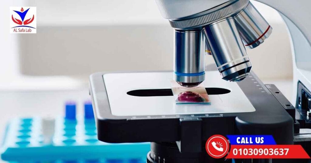 The Best Medical Lab in Cairo