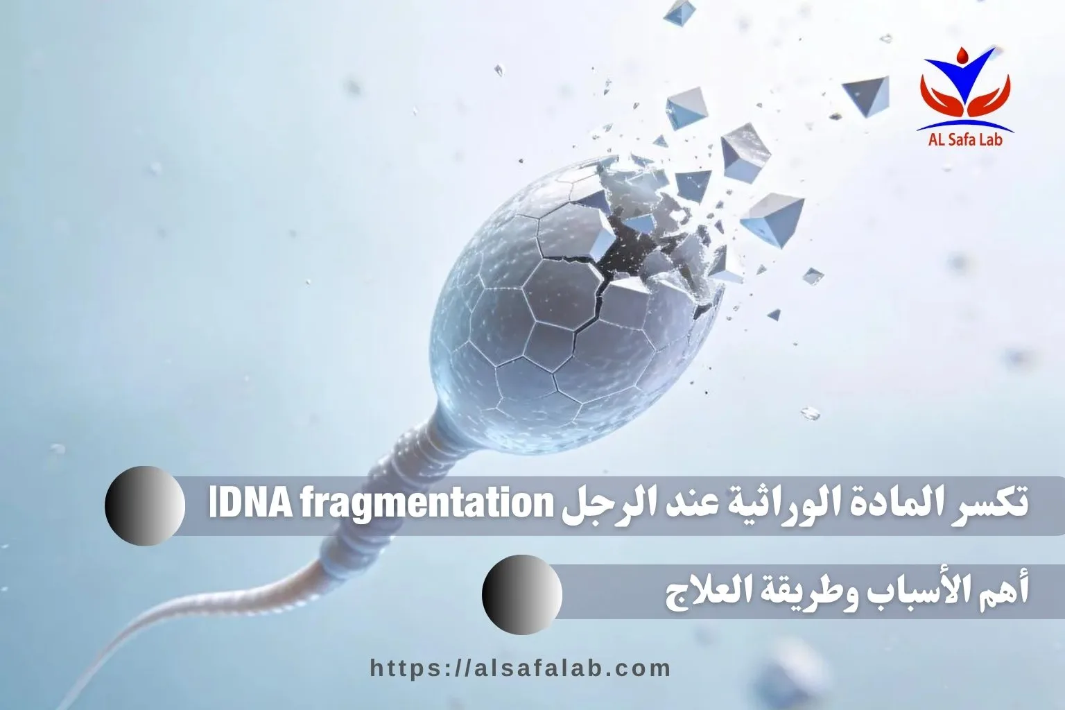 تكسر المادة الوراثية