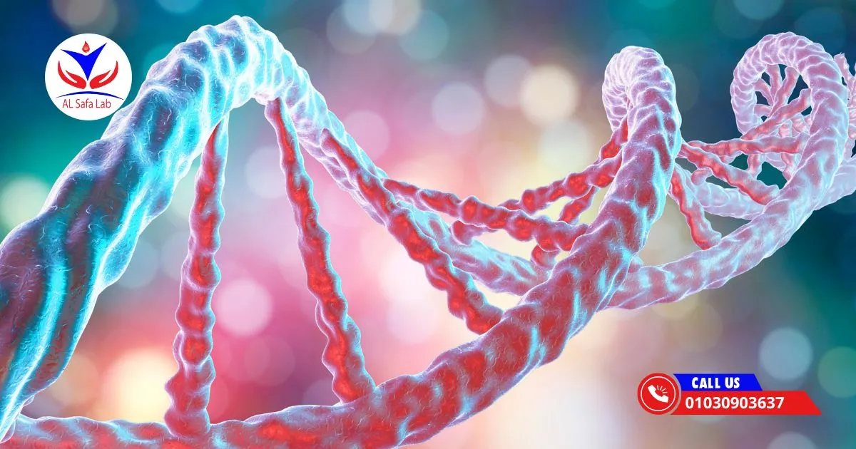 تكسر المادة الوراثية