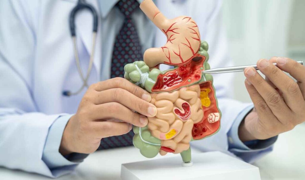 Gastrointestinal Health Test Package