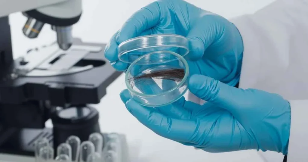 Hair Mineral and Heavy Metal Analysis