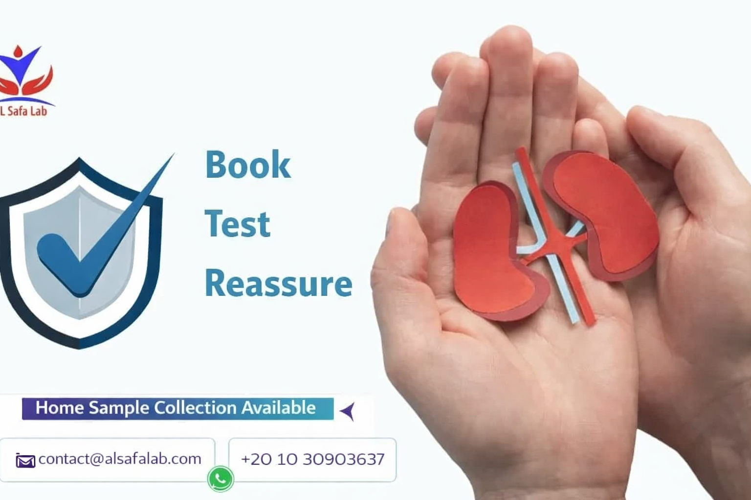 kidney function tests