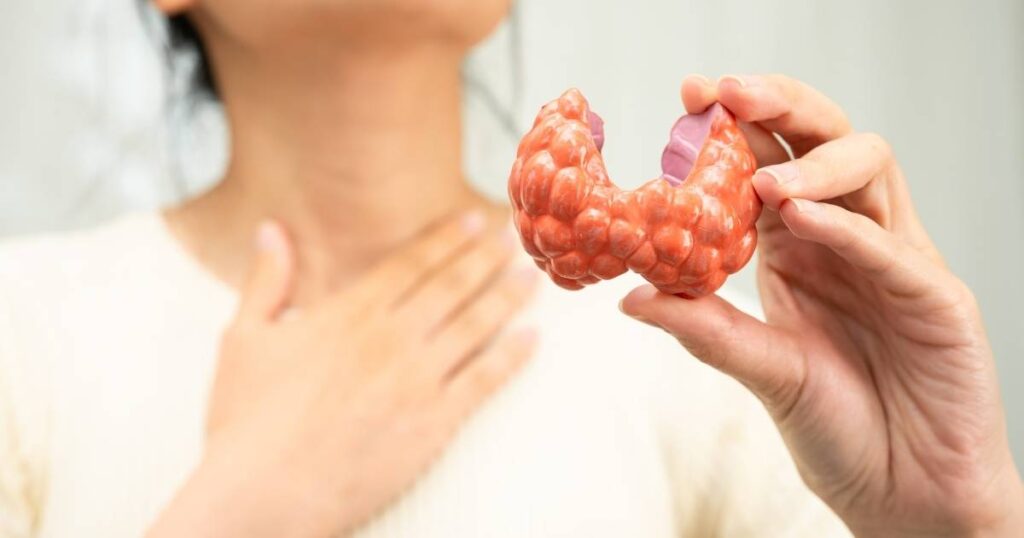 باقة فحوصات الغدة الدرقية