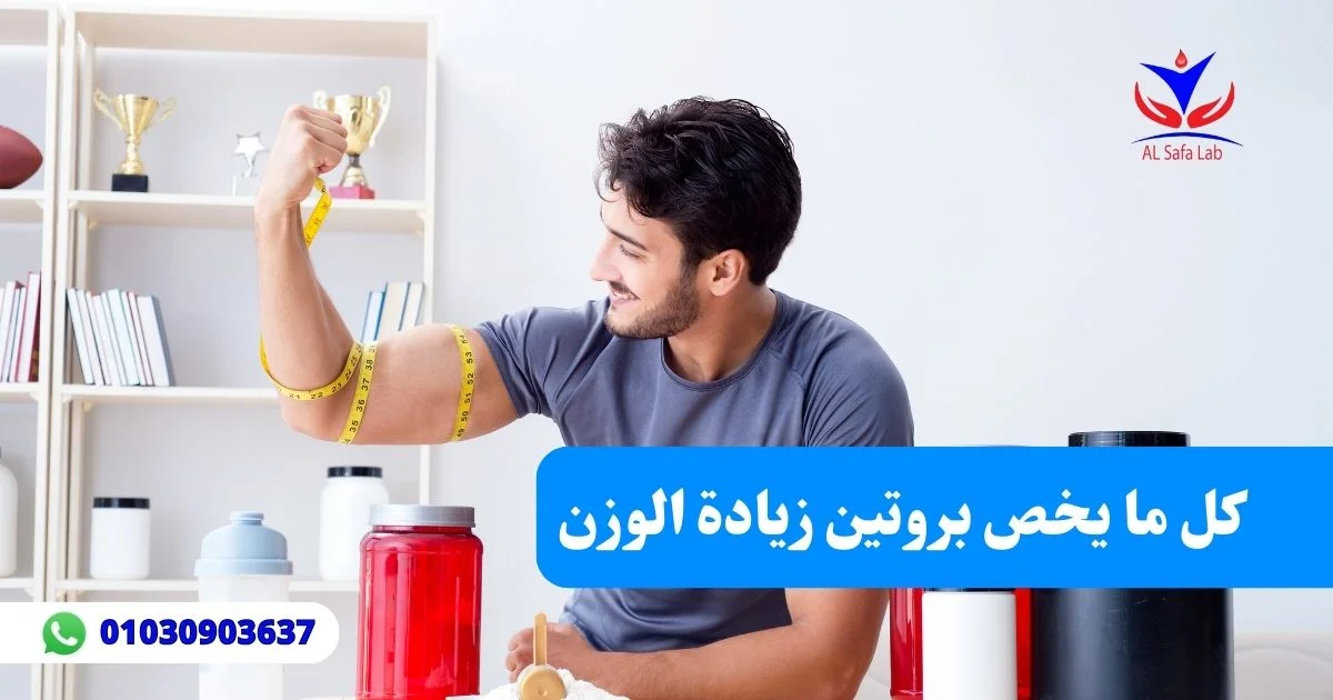 بروتين زيادة الوزن