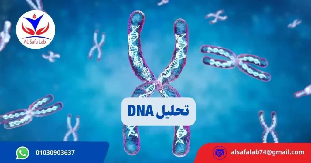 تحليل DNA