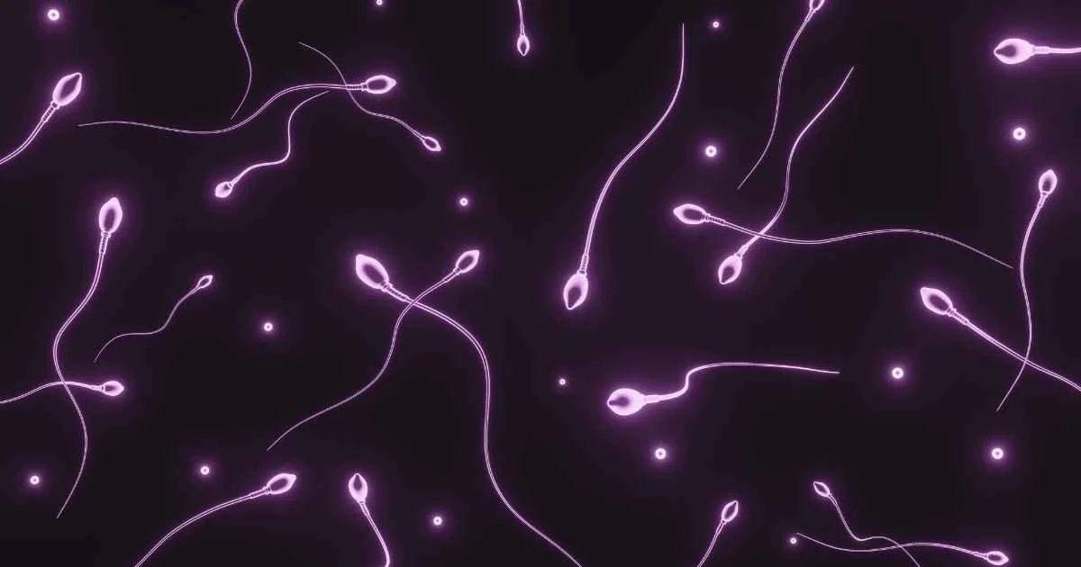 تحليل السائل المنوي بالكمبيوتر