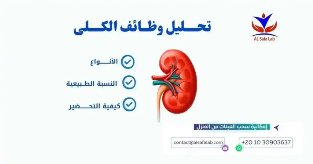 تحليل وظائف الكلى
