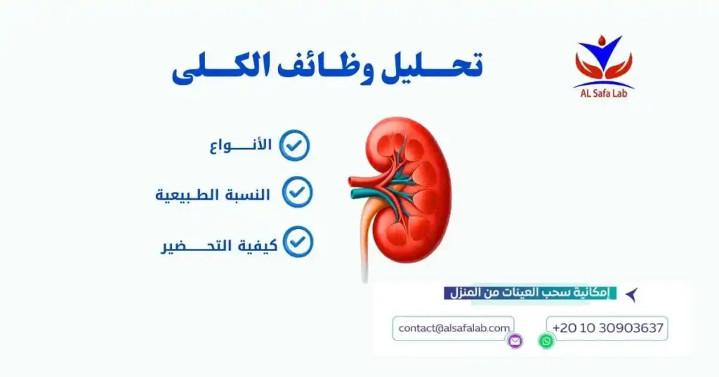 تحليل وظائف الكلى