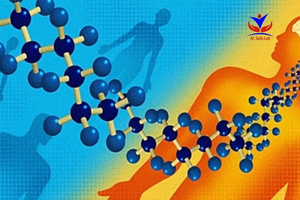 Sex hormone binding globulin (SHBG) test (2)