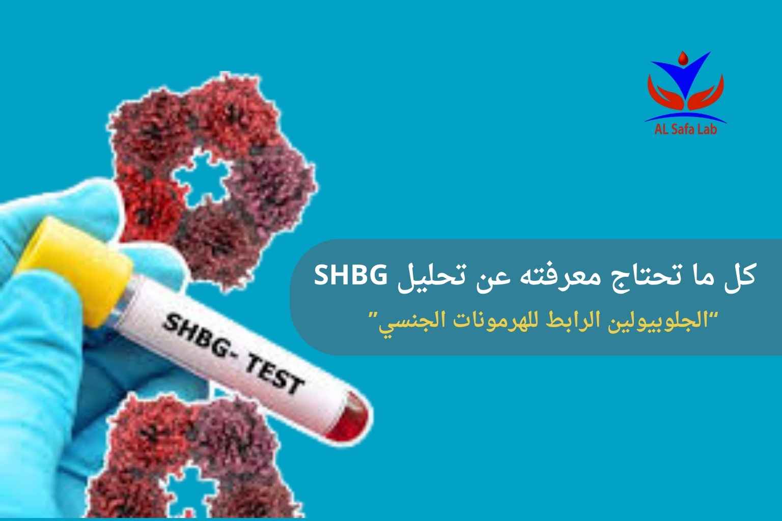 تحليل SHBG