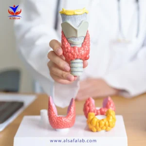 Thyroid Function Tests Panel