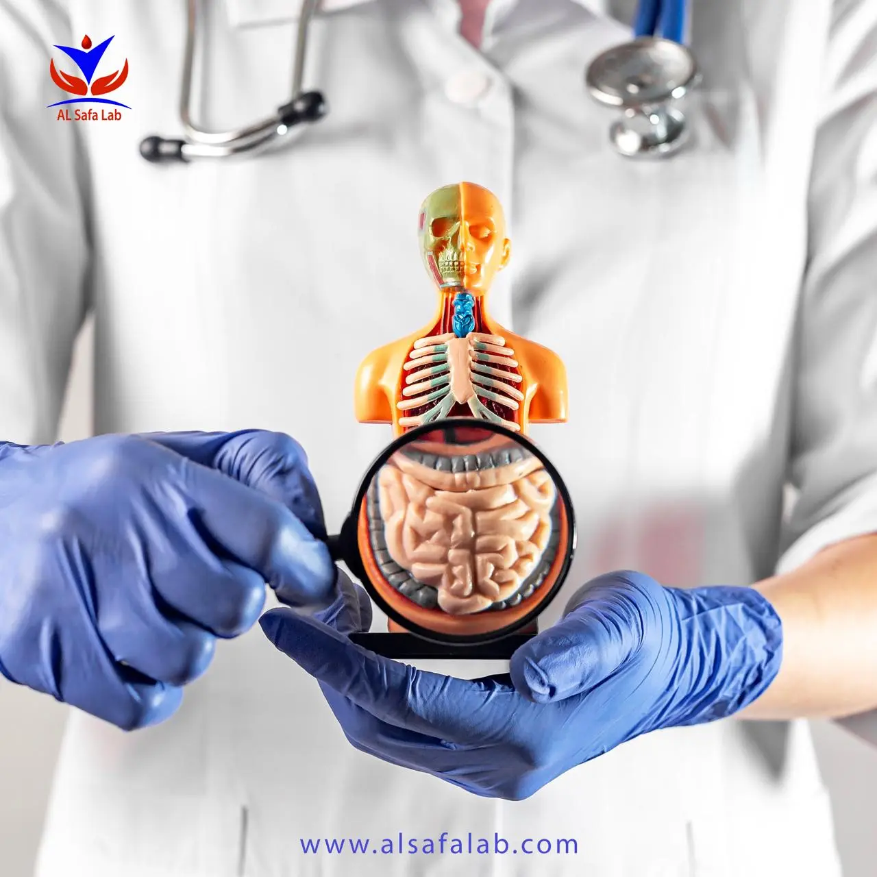 باقة صحة الجهاز الهضمي