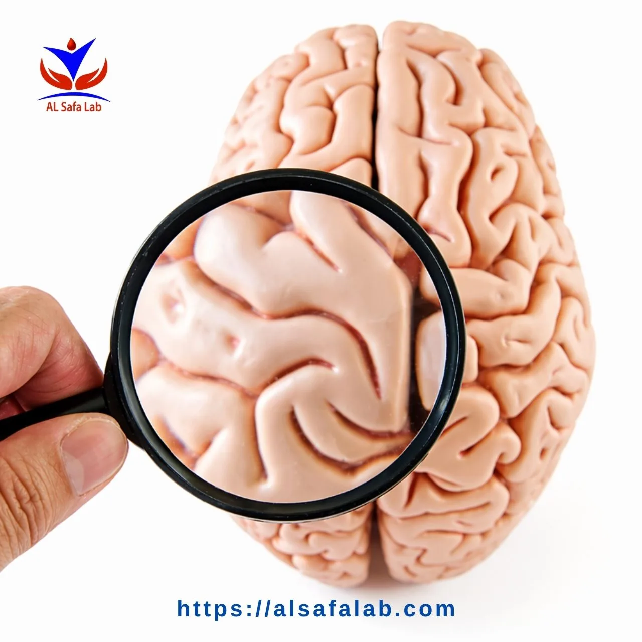 فحص الغدة النخامية