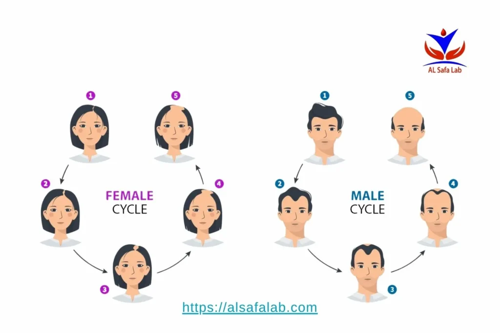 DHT Hormone in Women