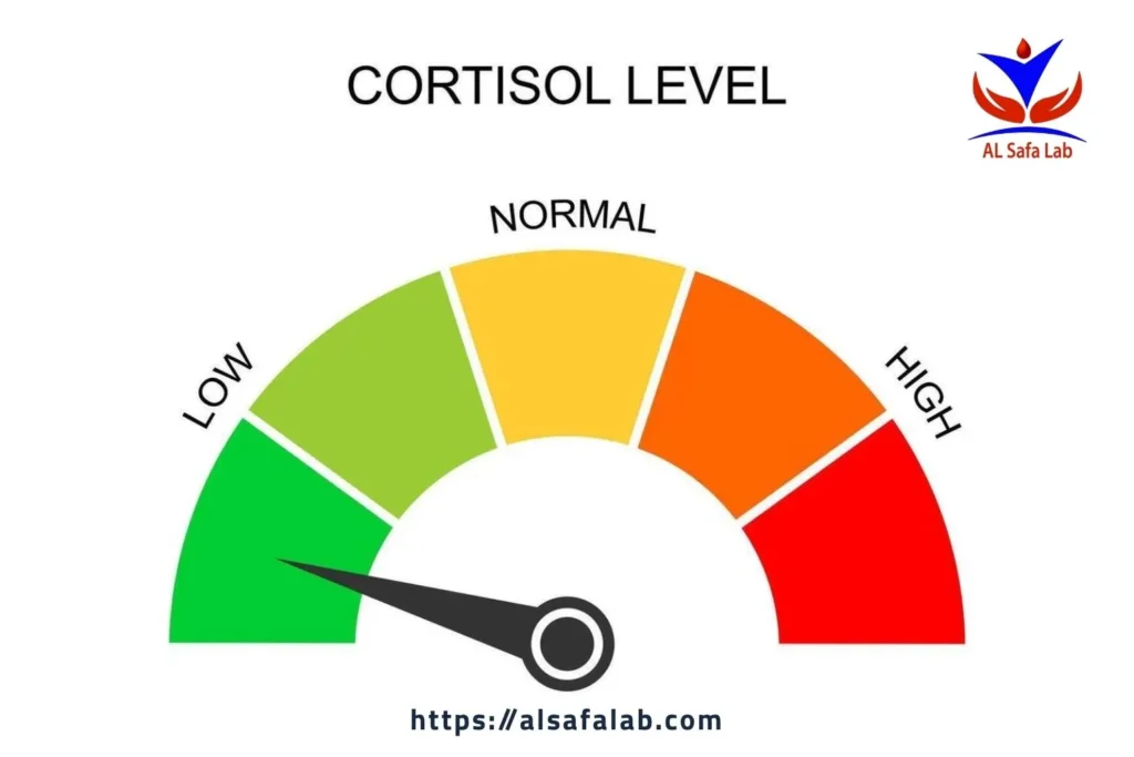 How Can I Lower DHT Hormone