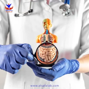 Gastrointestinal Lab Tests