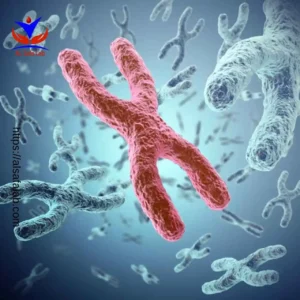 Y Chromosome Microdeletion Test